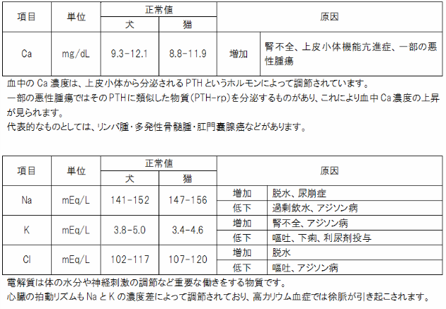 血液生化学検査 血液生化学検査