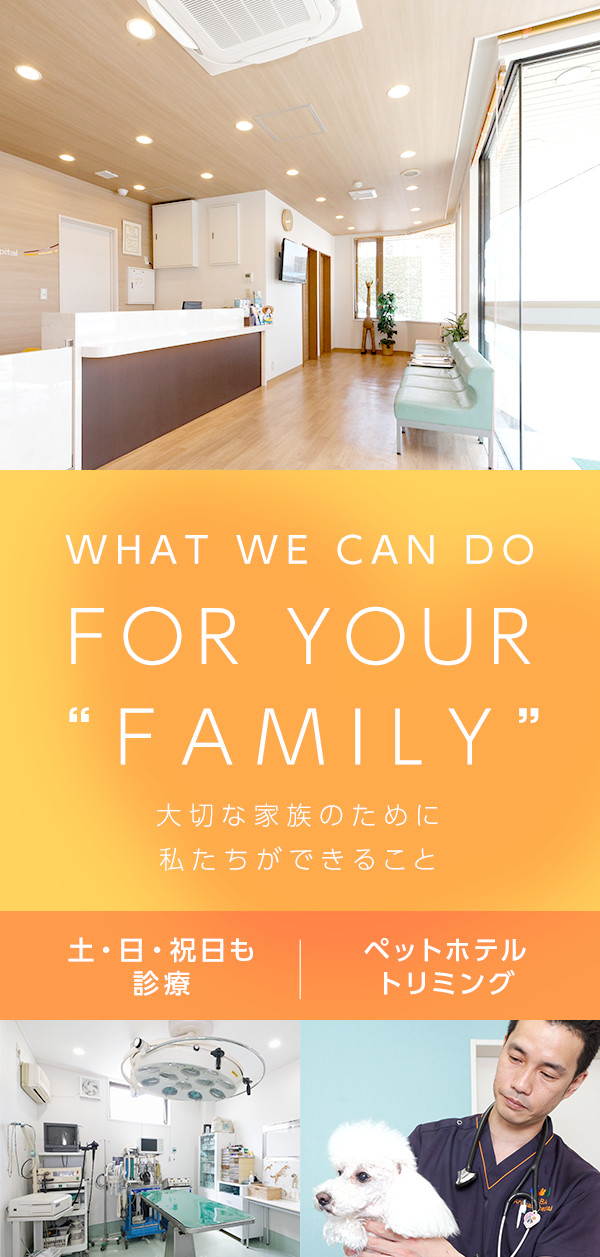 私たちができること