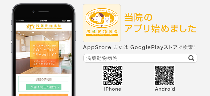当院のアプリ始めました