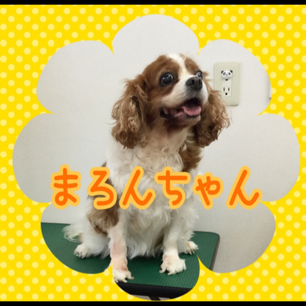 pic20190903180253_1.jpg